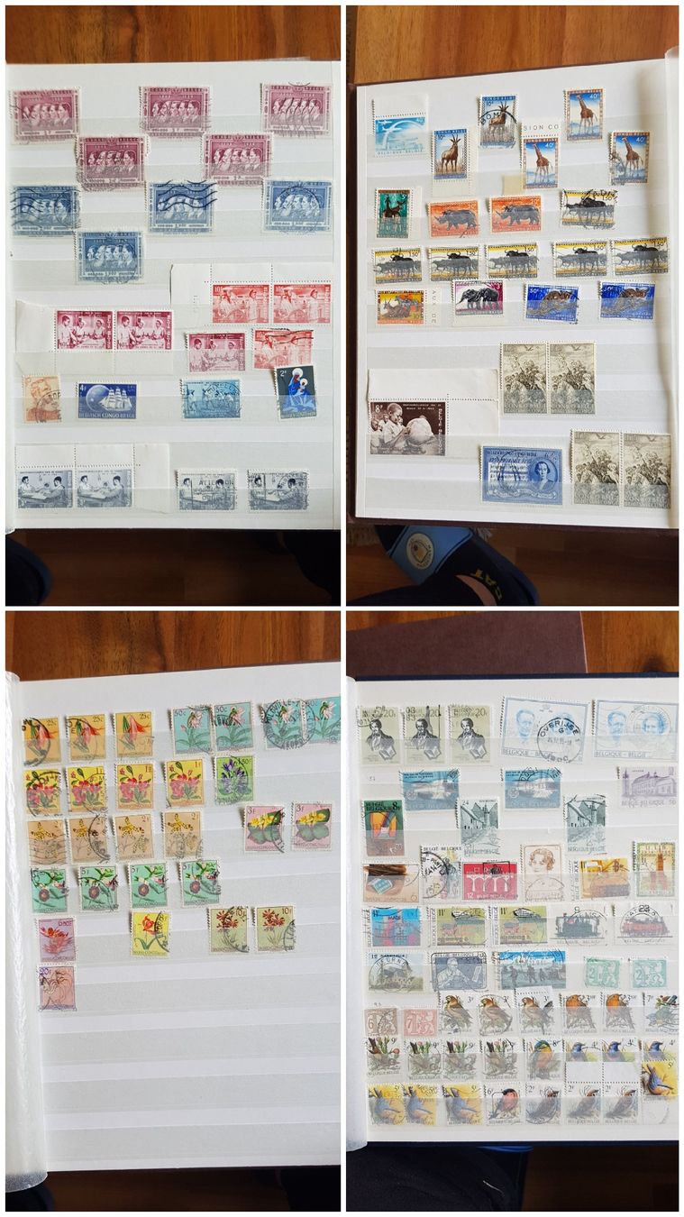 Tutti i francobolli: Große Belgien-Sammlung – Usato da Kradolf venduto da sie_zx7m 9