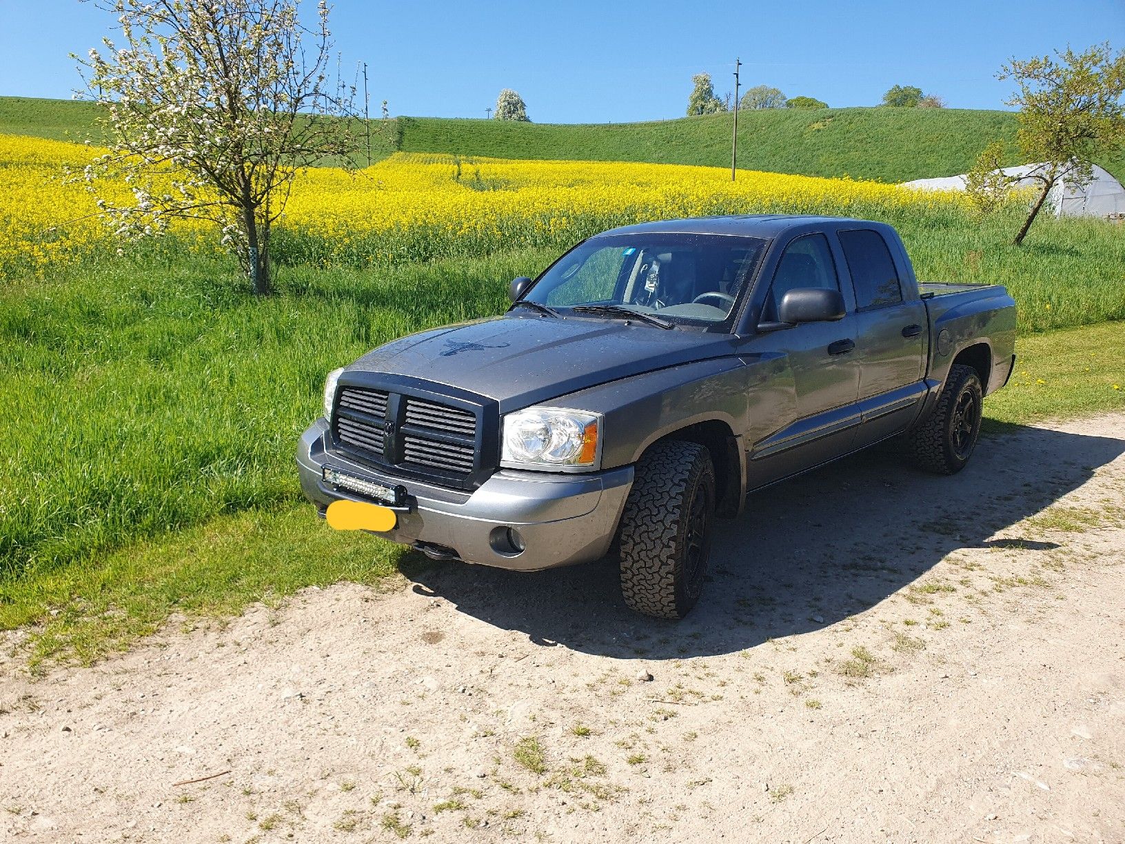 Dodge Automobili: Dodge Dakota SLT 4.7l 4x4 V8 ab MFK&Service – Usato da Ebersecken venduto da DAVE2005 4