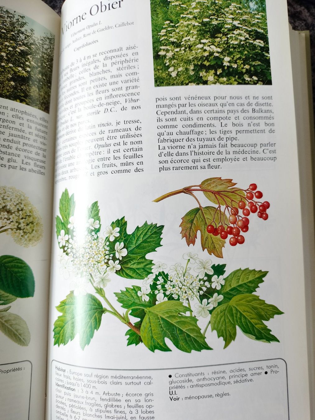 Libri: Secrets et vertus des plantes médicinales – Usato da Cortaillod venduto da rozinna 9