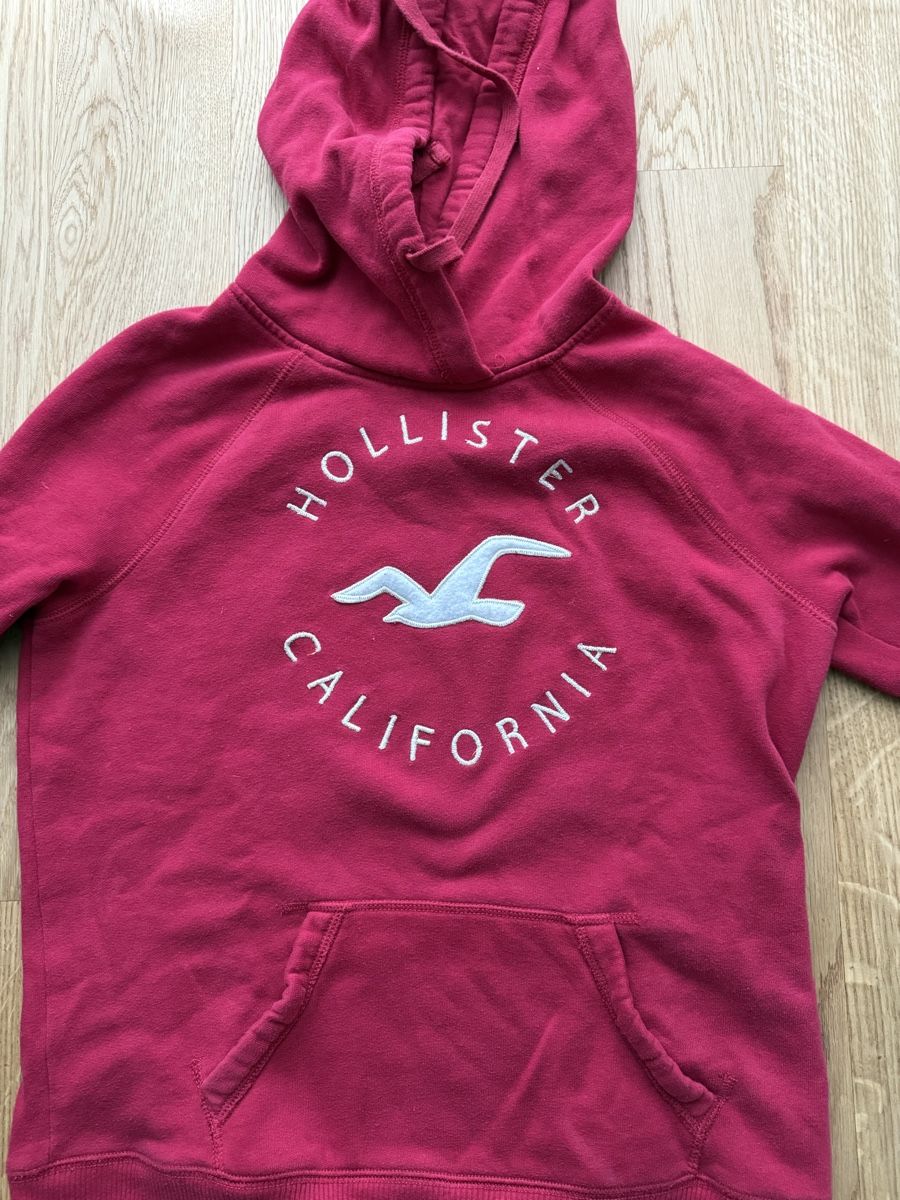 Hollister Pullover & Sweatshirts: Hoodie Hollister – Gebraucht aus Vaduz von sbe_r8th