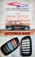 BMW F25 X3 Nieren M Doppelspeichen Kühlergrill für M Color