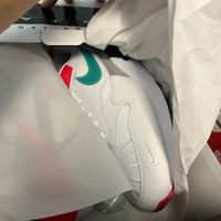 Nike Air Max 1 EOI