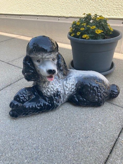 Statuette: Pudel Keramik – Usato da Rorschacherberg venduto da stega03 1