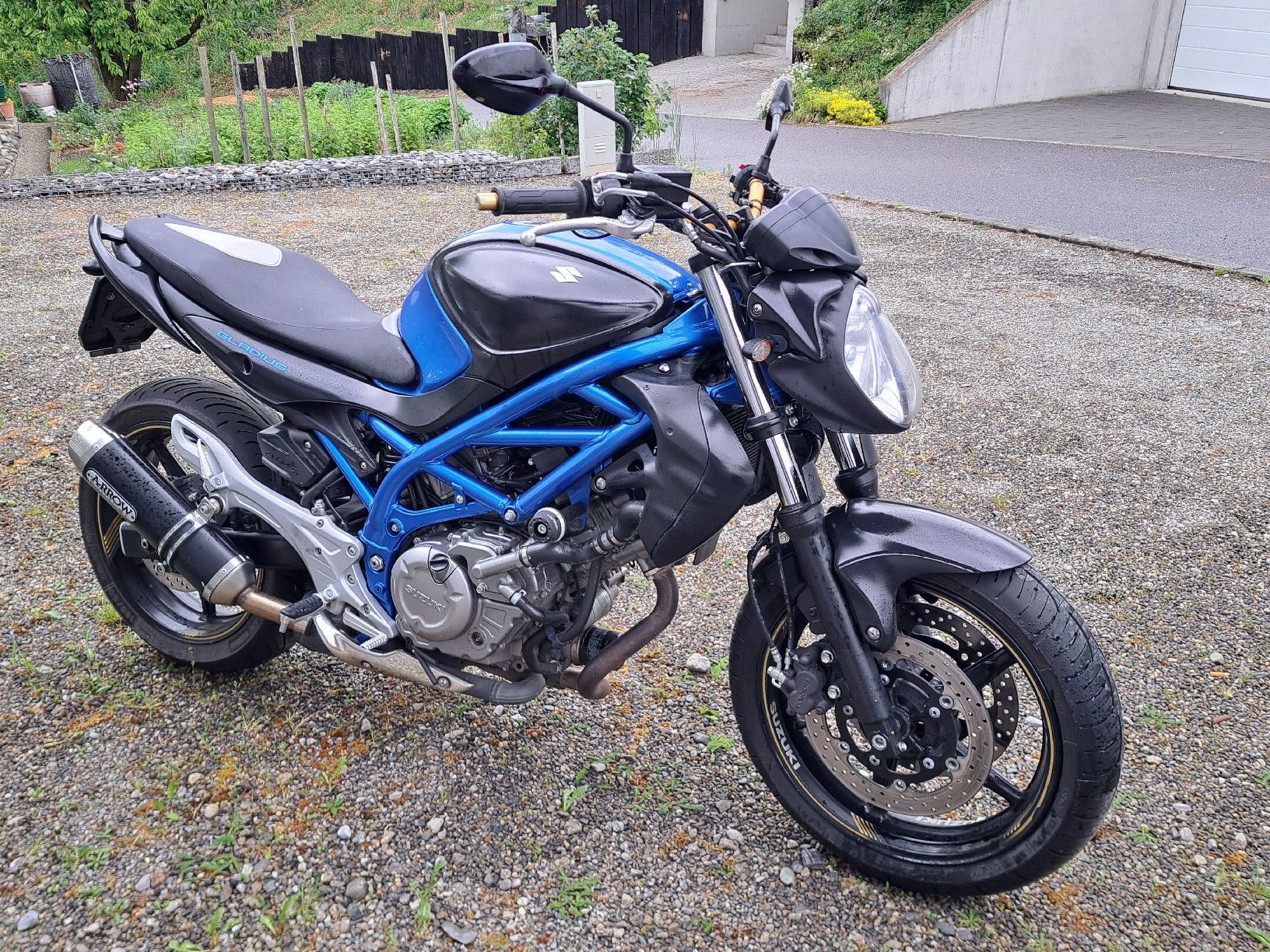 Suzuki Strada: Suzuki SFV 650 A – Usato da Hitzkirch venduto da miguman72 4