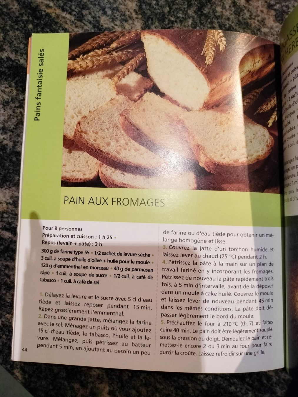 Bücher: Pains Minouche Pastier Hachette Pratique – Gebraucht aus Cortaillod von rozinna 2