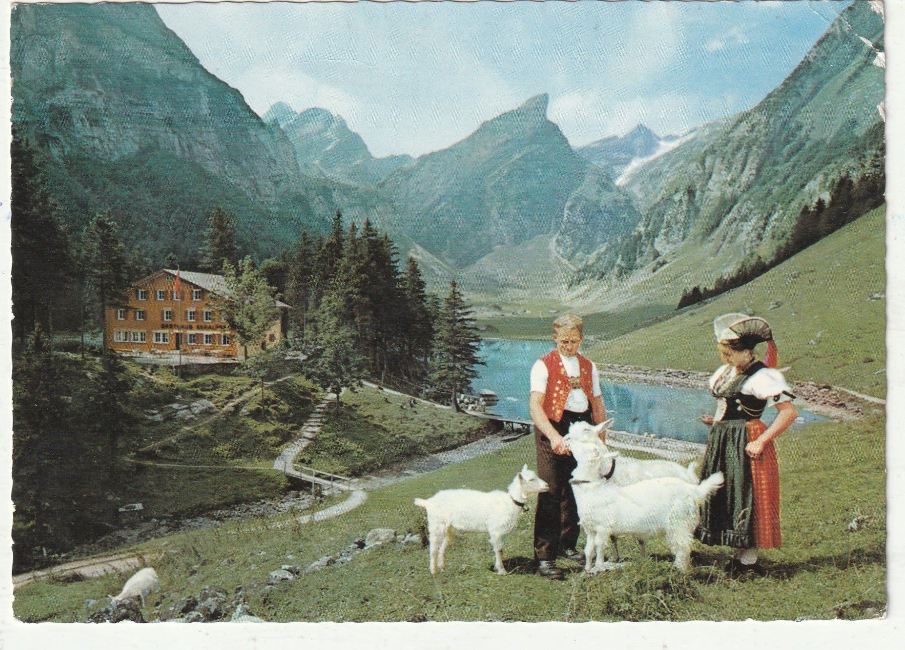 Cartoline postali: Trachten - Ziegen im Alpstein – Usato da Lumbrein venduto da made02