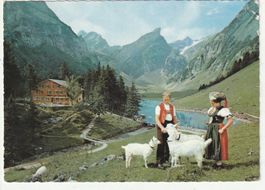 Trachten - Ziegen im Alpstein