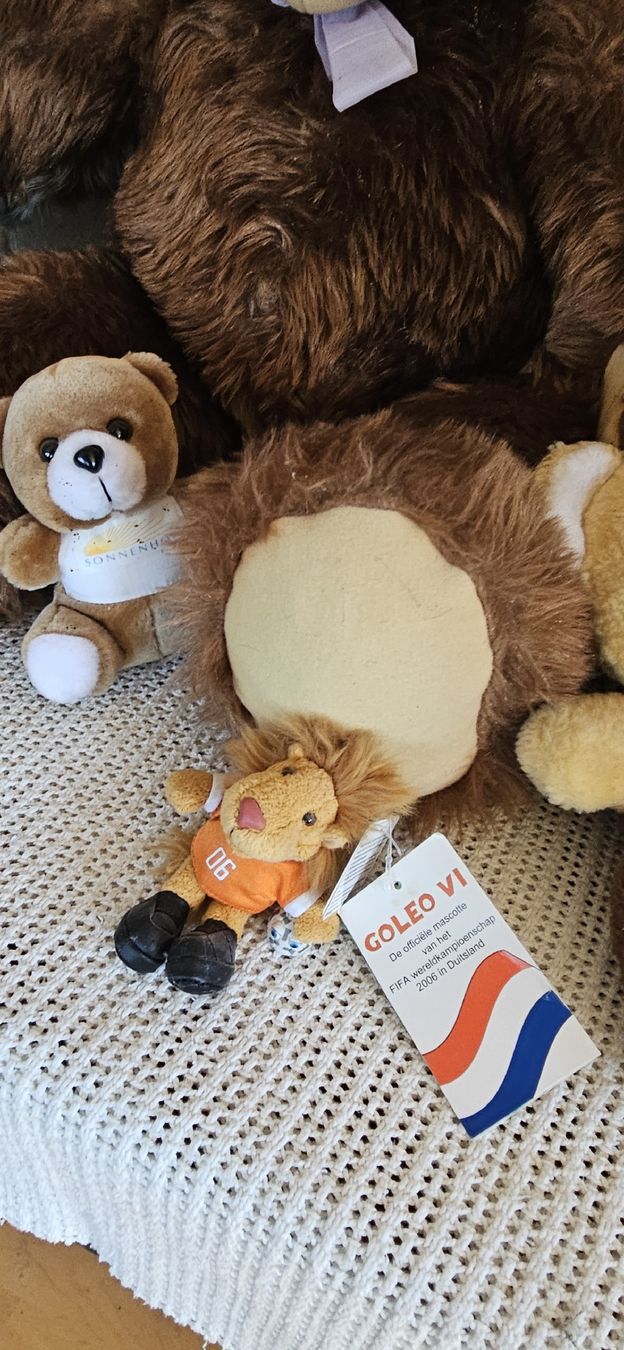 Giocattoli: Teddybären Lot – Usato da Belp venduto da Ginus85 3