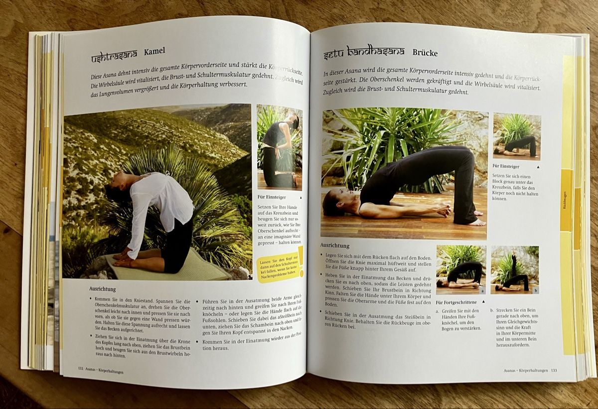Libri: Yoga Praxisbuch – Usato da Buchs AG venduto da Allerleis 4