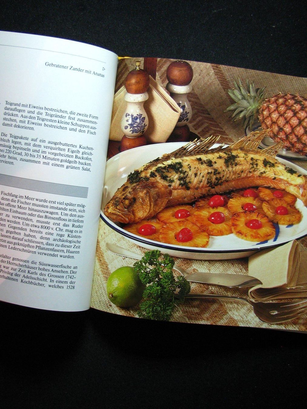 Libri: Irma Ruche  Silva-Fischkochbuch – Usato da Reitnau venduto da Zaomir 5