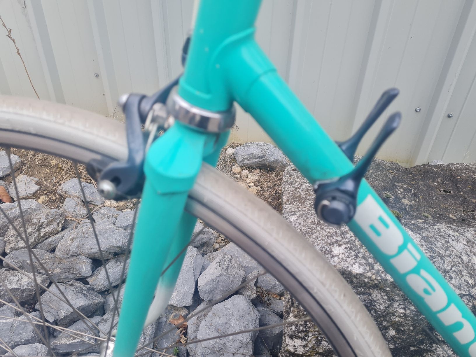 Bianchi Biciclette: Beautiful Bianchi – Usato da Zürich venduto da shooter72 8