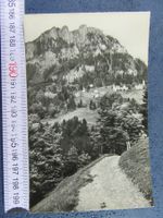 NIEDER-RICKENBACH MIT MUSENALP ONW AK