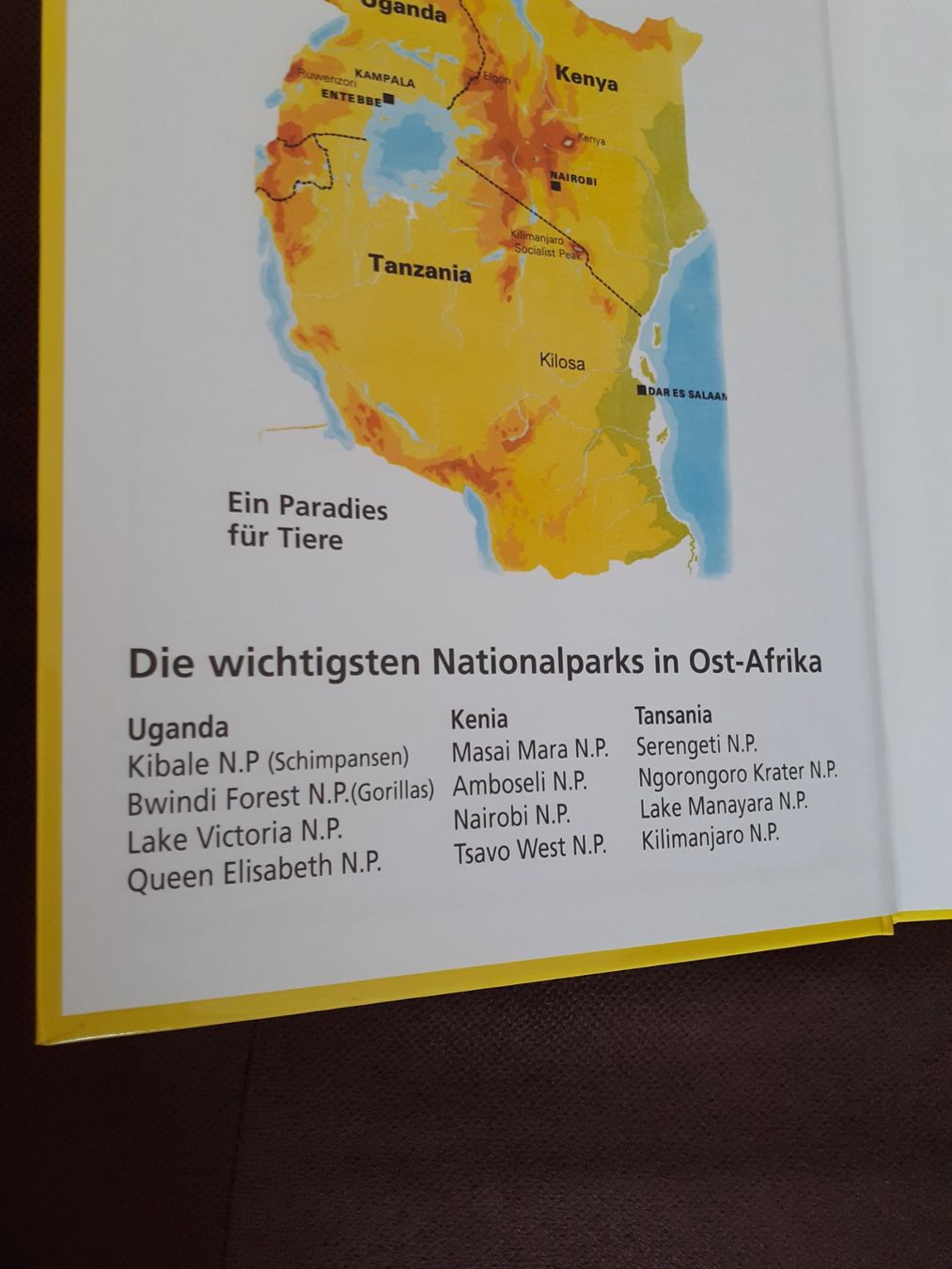 Libri: Tierbuch, Afrikas Wildtiere entdecken! – Nuovo e nell'imballaggio originale da Yverdon venduto da DerStorchUndDieBiene 3