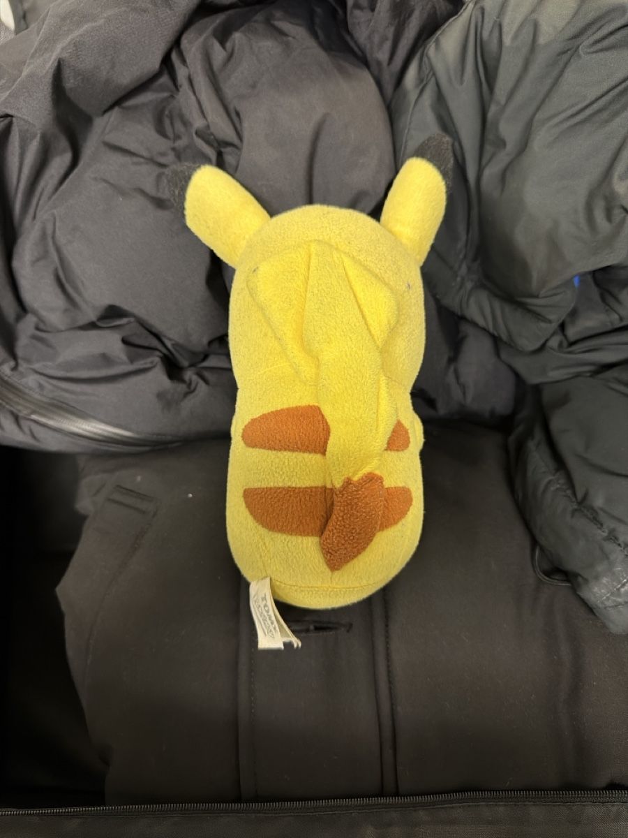 Pokémon Spielzeuge: Pikachu Stofftier  – Gebraucht aus Zürich von osw_82xn 1