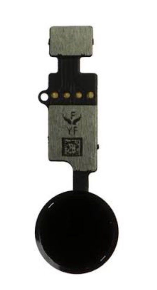 Apple Telefoni cellulari / Smartphones: iPhone 7/8/7 Plus/8 Plus Universal Home Button Neu – Nuovo e nell'imballaggio originale da Ballwil venduto da AyngaMarket