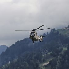 Profile image of Batabeli01