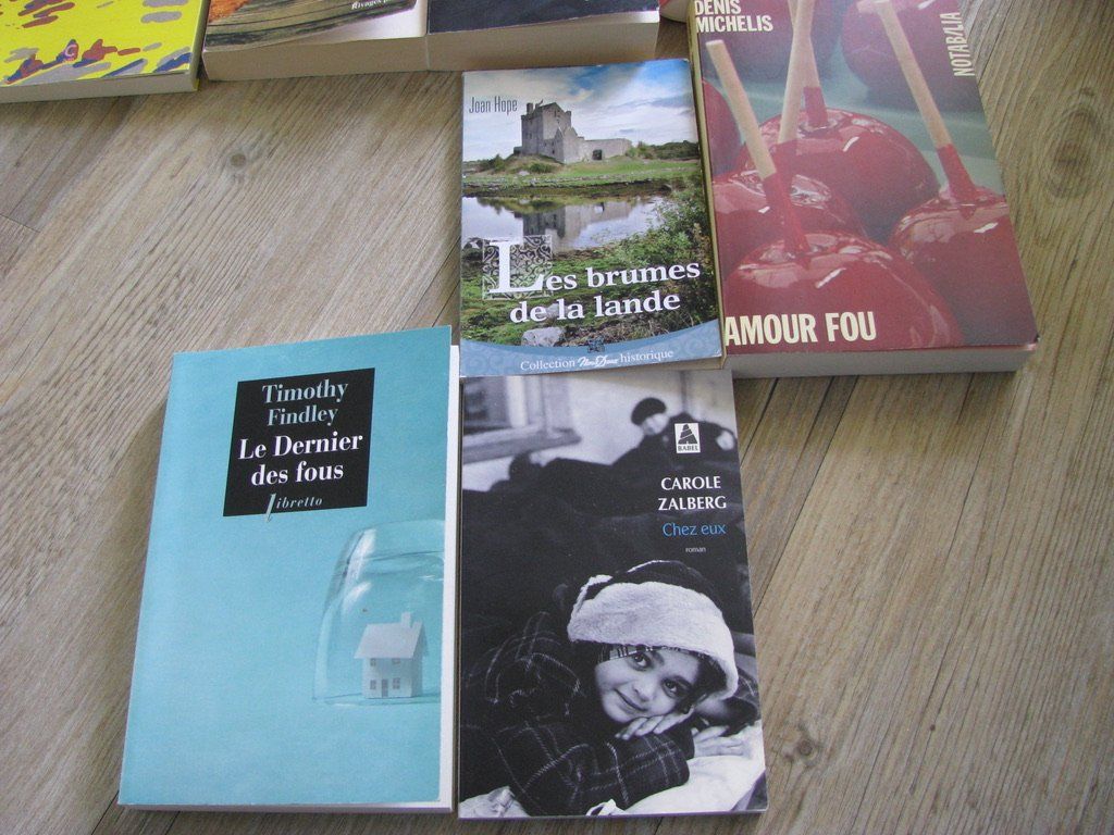 Libri: Lot de 8 Romans : Bonvicini, Hope, etc... – Usato da Zweisimmen venduto da Domii 1