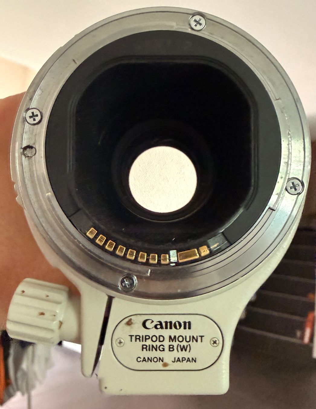 Canon Obiettivi: Canon 300m 4L – Usato da Saillon venduto da saillon81 3