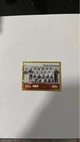 Panini FWC 9