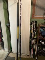 Salomon klassisch Langlauf Ski, Fell, 206