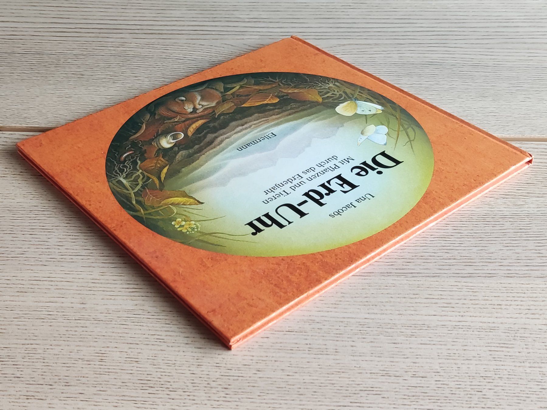 Libri: Die Erd-Uhr – Bilderbuch (1985) – Usato da Schaffhausen venduto da philscardstore 3