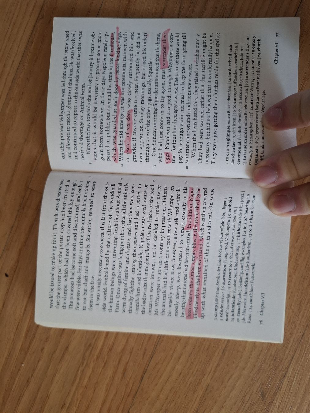 Libri: L'oasis Xavier-Laurent Petit – Usato da Gossau ZH venduto da herrerra.25 3