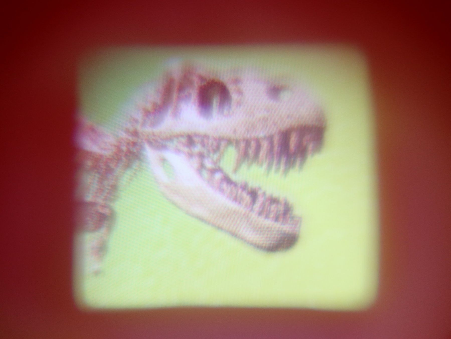 Giocattoli: Dinosaurier Bildbetrachter 2D – Nuovo e nell'imballaggio originale da Eschenbach SG venduto da Astalavista 5