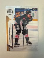 295 Leandro Hausheer HC Lugano SportZoo 2024/25