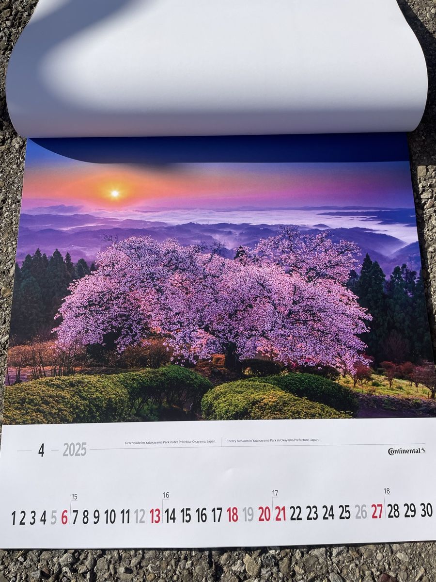 Kalender: Kalender 2025 "Magic Moments" neu continental – Neu und originalverpackt aus Wattwil von Parase 3