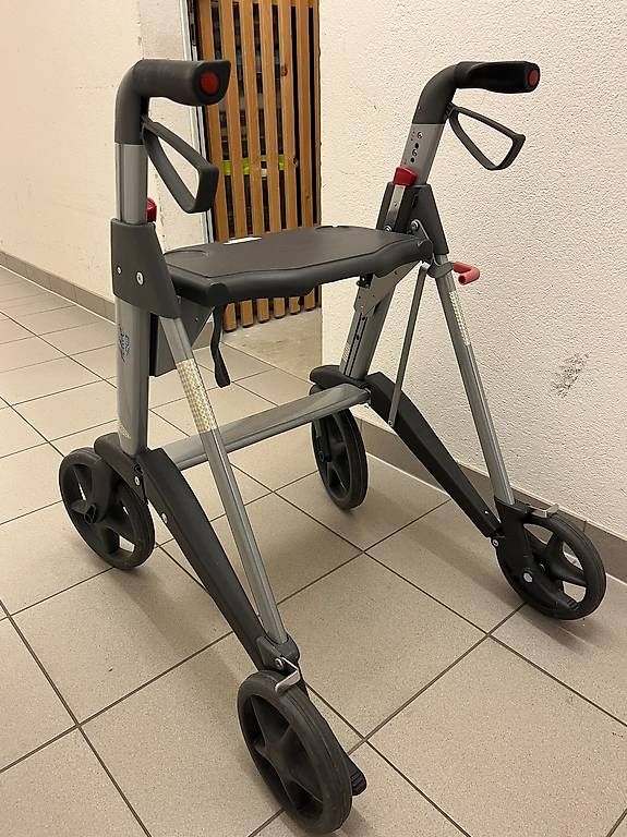 Gehhilfen: Déambulateur Active Walker Acces - Vainqueur du test Kassen – Gebraucht aus Lausanne von mar_27dz 2