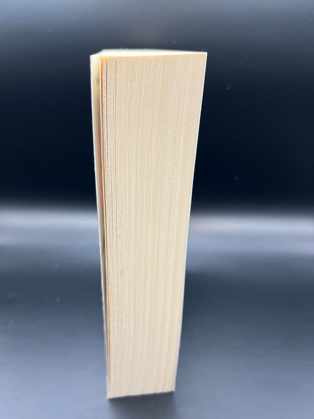 Libri: 📖 Diabolus Dan Brown Thriller – Nuovo (secondo la descrizione) da Vaduz venduto da NotNeeded 3