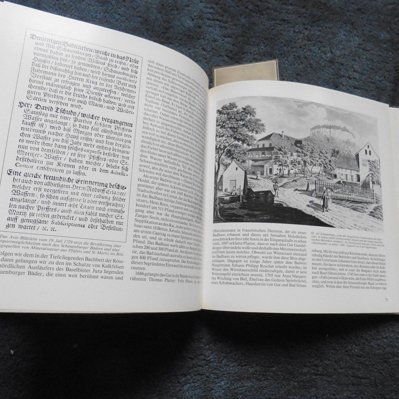 Libri: Badefreuden,BS,BL,Eugen A.Meier,1982,Birseck,Leimental,Röser – Usato da Lausen venduto da liesfisch 7