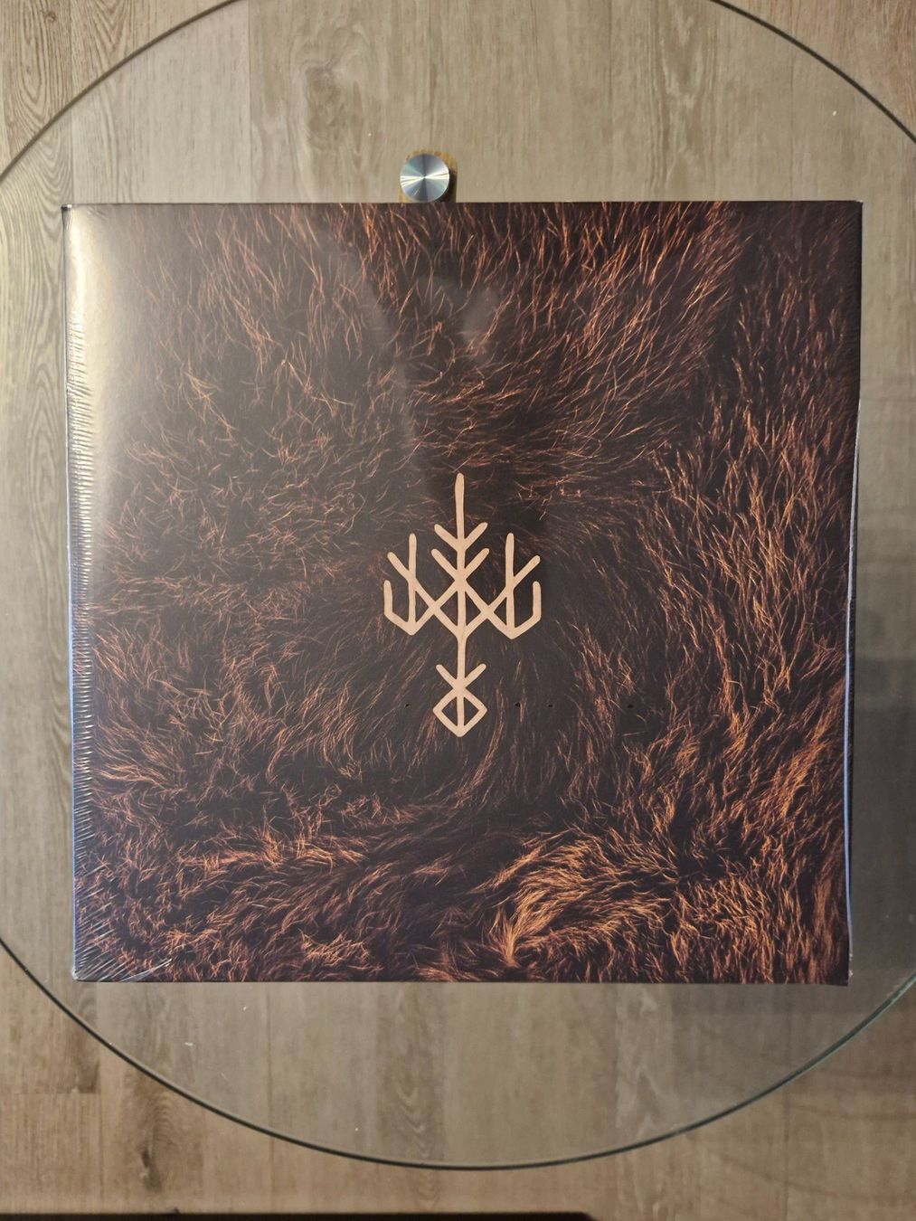 Dischi in vinile: LP - Wardruna -  Birna - Vinyl - NEU – Nuovo e nell'imballaggio originale da Aadorf venduto da MediaGuru