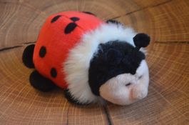NICI - COCCINELLE - CM 18