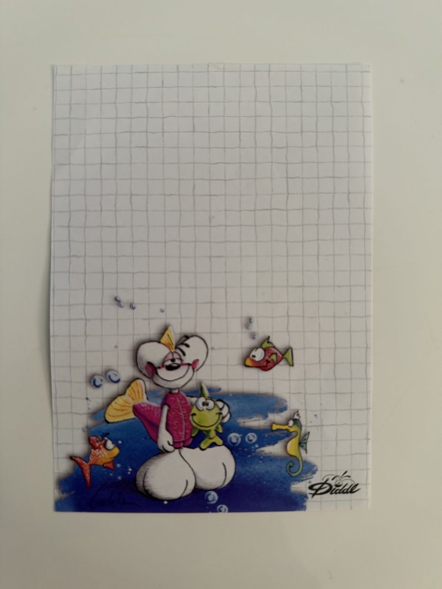 Carta: Diddlblätter Set 4Stk. – Usato da Niederglatt ZH venduto da vane_ssa 2