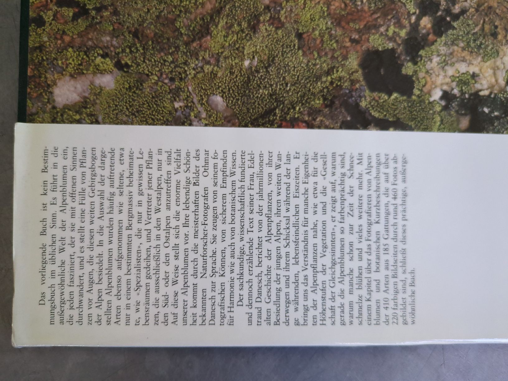 Bücher: Faszinierende Welt der Alpenblumen Buch Ringier – Gebraucht aus Ermatingen von trendyquitaeten 3