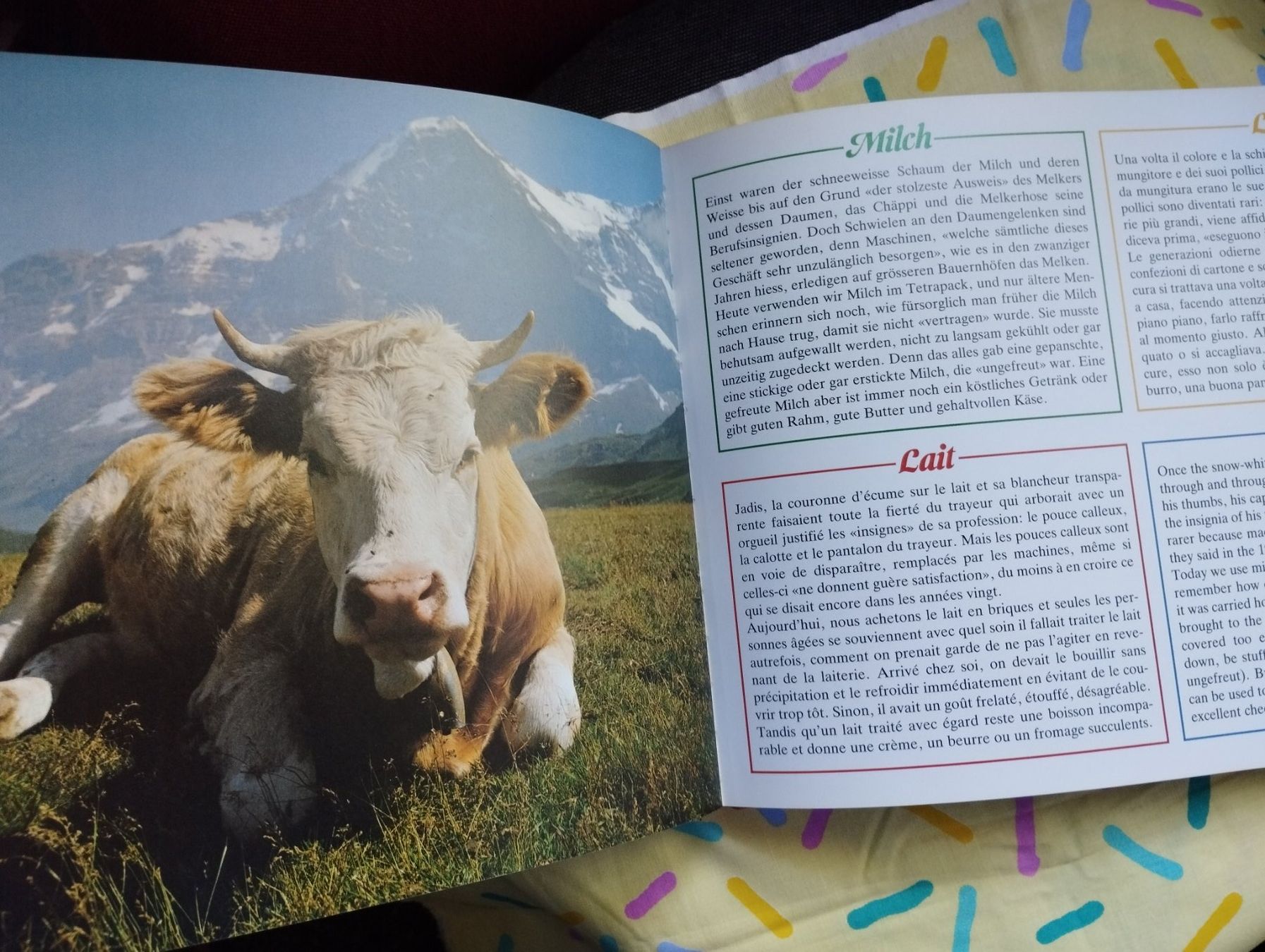 Bücher: Bärner Bode Bärner Chuchi – Gebraucht aus Ostermundigen von Dinge1 3