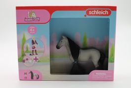 Schleich Horse Club Sofia & Dusty Starter Set 42584