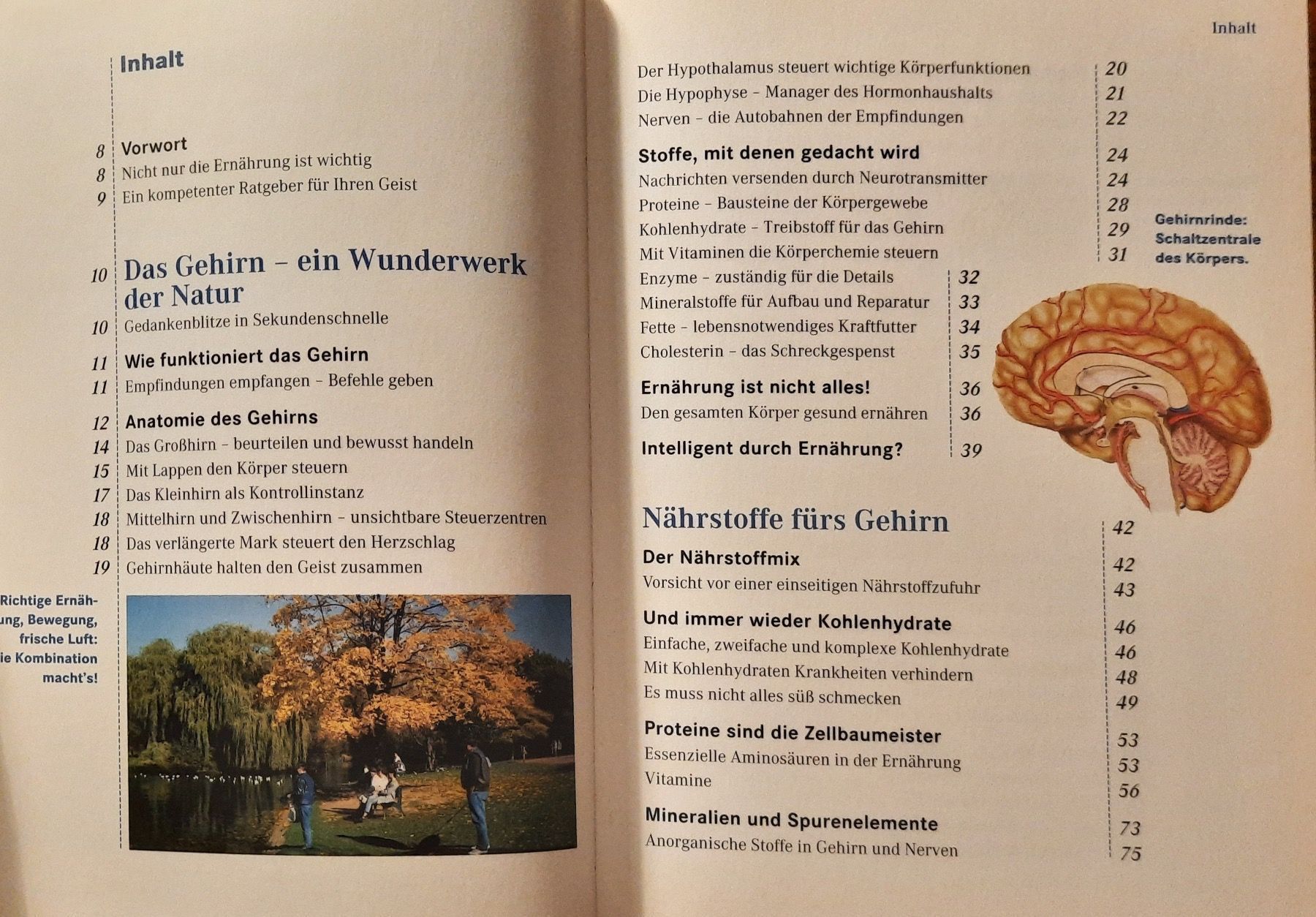 Libri: Essen, das intelligent macht von Herbert Schwinghammer – Usato da Wettingen venduto da Beo 1