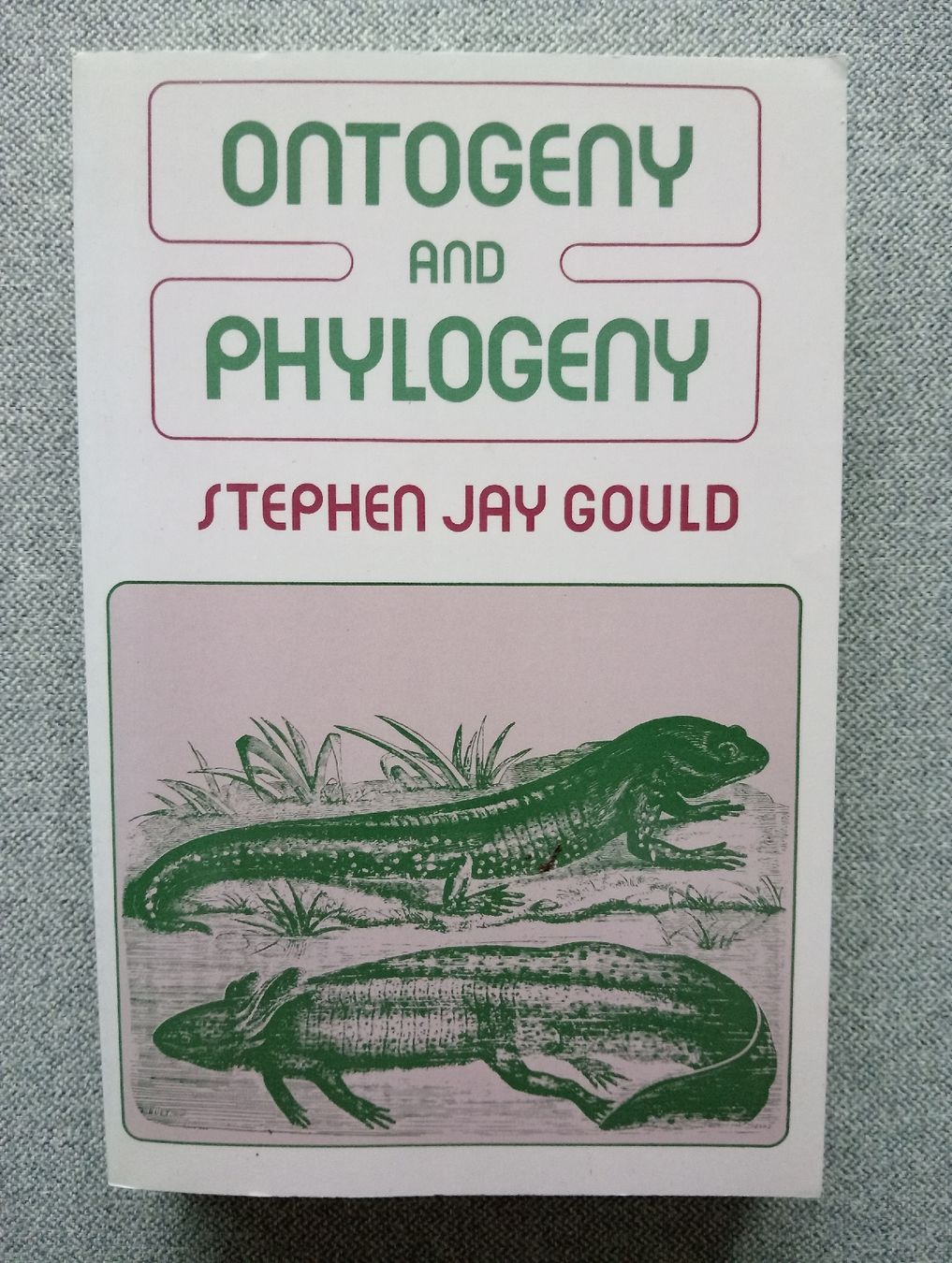 Libri: Ontogeny and Phylogeny Jay Gould 1977 – Usato da Allschwil venduto da Evgeniia78