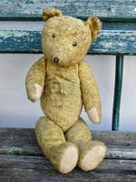 Alter Teddy sucht neues Zuhause