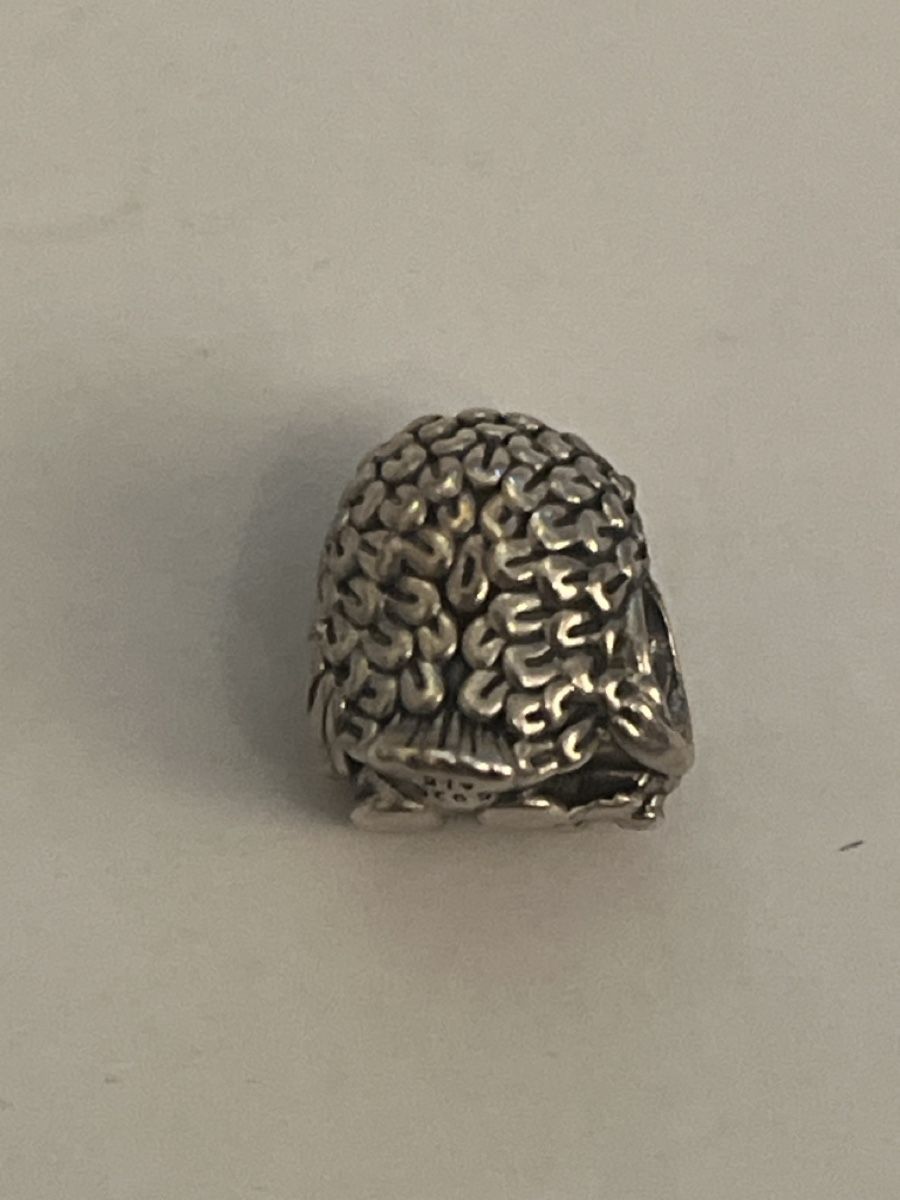 Pandora Ciondoli: Pandora Eulen Charm S925 ALE Silber 5.41g ! – Usato da Luzern venduto da Wusjx 1