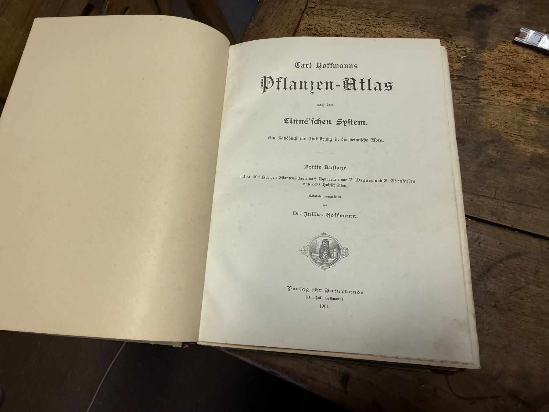 Libri: 1901 Carl Hoffmanns Pflanzenatlas – Usato da Bern venduto da Jwpm66 1