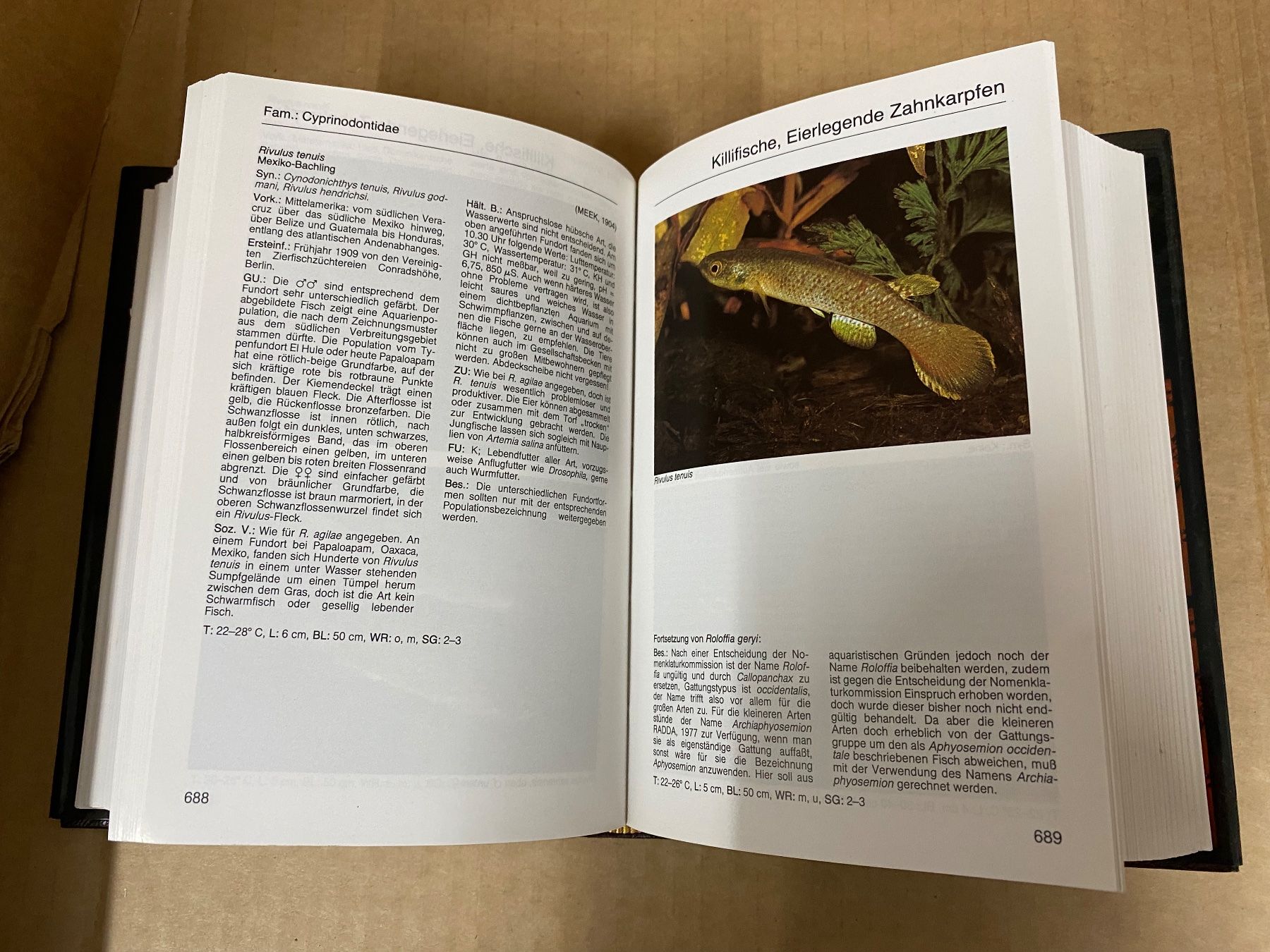 Libri: Aquarien Atlas Bd. 2 – Usato da Eschlikon TG venduto da ArtRec 2