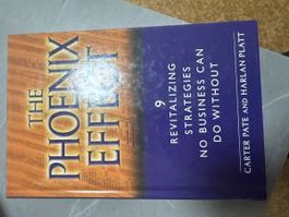 The Phoenix Effect: Top Zustand, Revitalisierungsstrategien