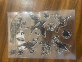 Vogel Stempelset für kreative Frühlingsprojekte! 🐦🌸 neu!