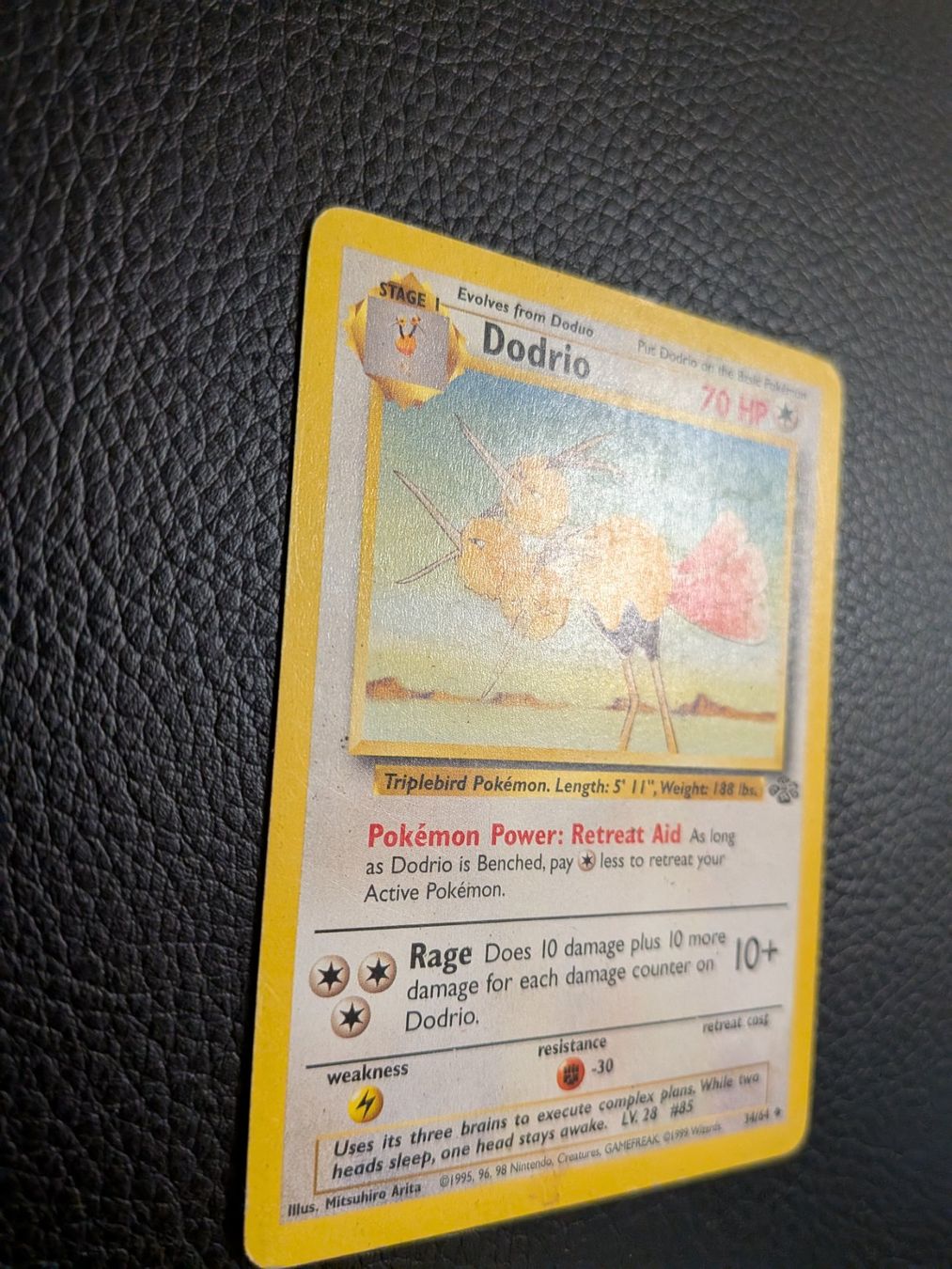 Pokémon Carte collezionabili: Jungle Dodrio 34/64 Ab 1 – Usato da Paradiso venduto da Pkmn10 2