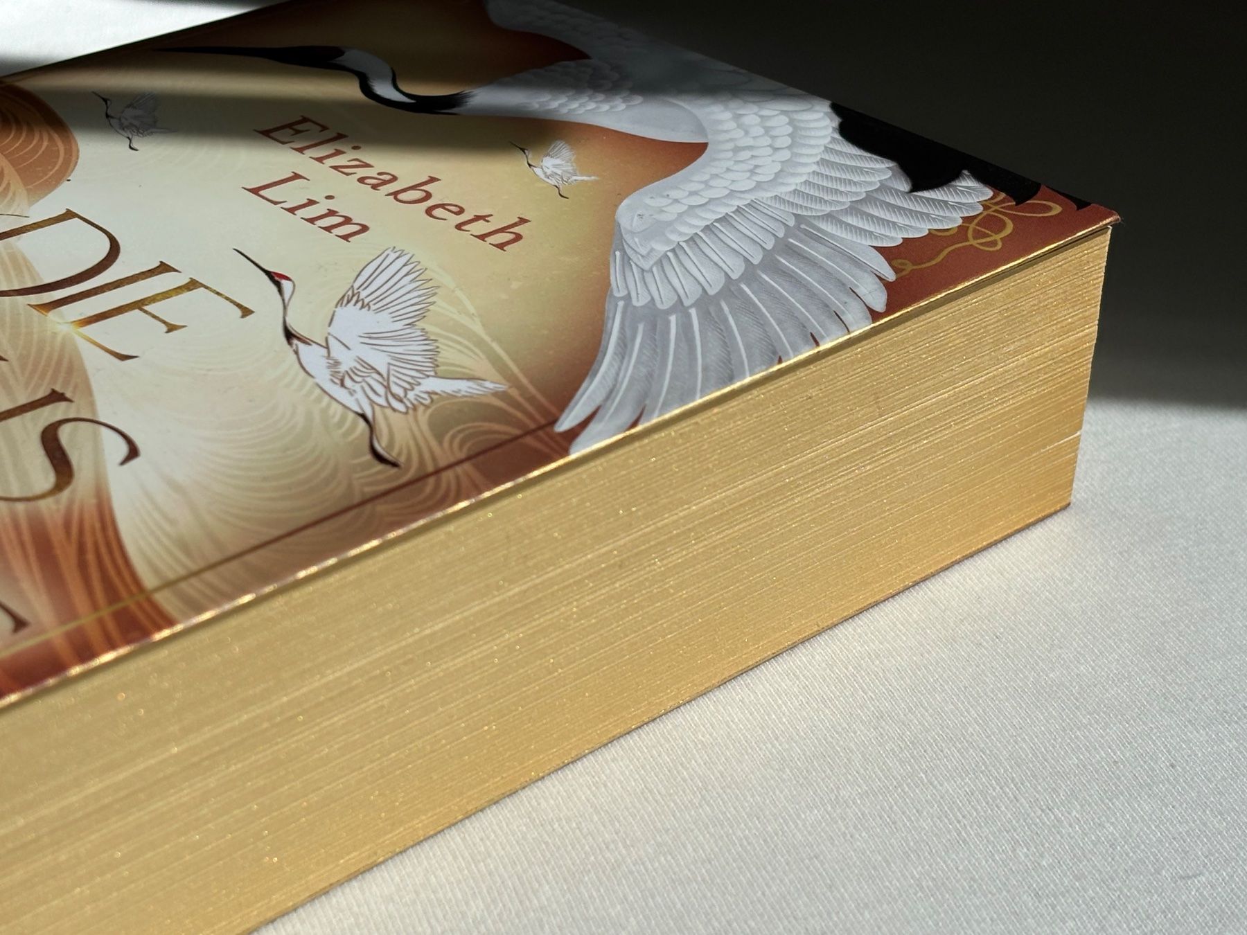 Bücher: Die sechs Kraniche von Elizabeth Lim – Gebraucht aus Stäfa von lenareads 3