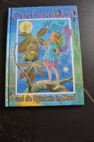 Cinderella und die Spinnerin im Mond