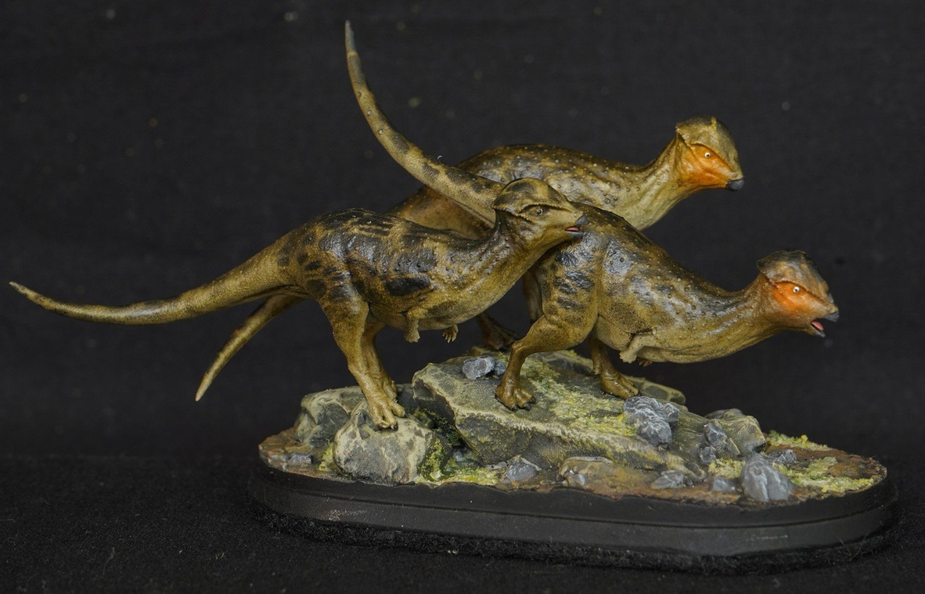 Statuette: Prenocephale 1:35 3D printed Model Dinosauria – Usato da Selzach venduto da Ataraxus